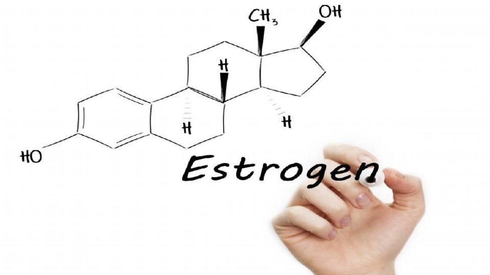 What Is Estrogen? And How It Affects Women? - Perfect Health Fit