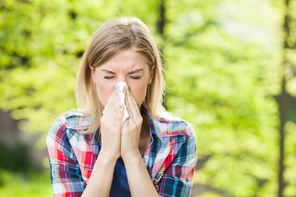The Best Medicinal Plants for Treating Common Ailments