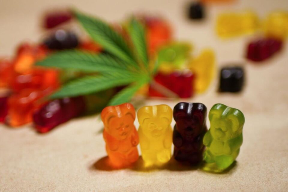 how to make cbd and thc gummies more affordable