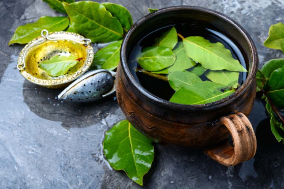 the amazing bay leaf benefits for glowing skin and hair growth